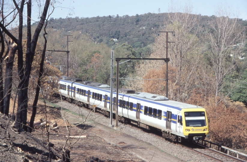 133339: Upper Ferntree Gully (up side), Suburban from Belgrave 3-car X'Trapolis 913 M leading Trees burnt by Black Saturday Fire