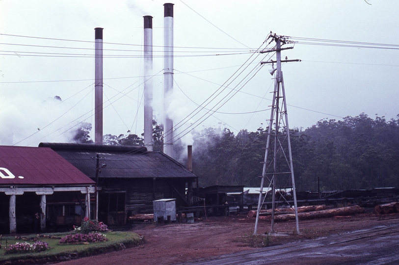 133405: Donnelly River Timber Mill Photo Wendy Langford