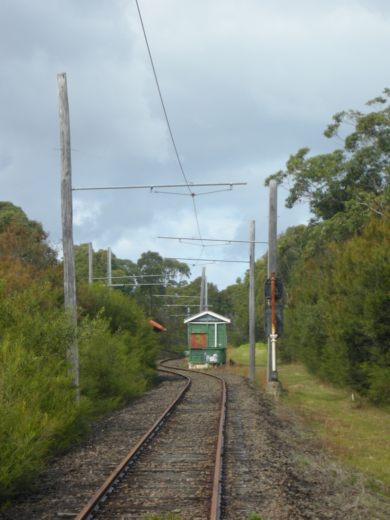 135330: Sydney Tram Museum The Royal National Park view from Tram approaching from Loftus