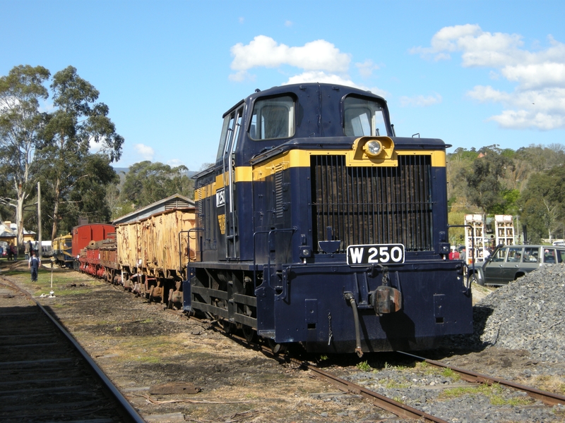 135610: Healesville  Display W 250 and freight vehicles