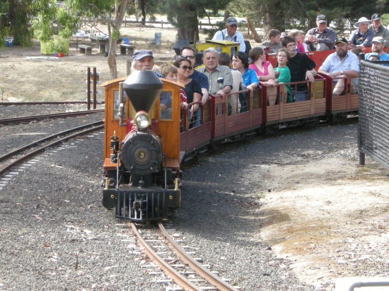 136253: Diamond Valley Railway Passenger No 3 Pauline 2-4-0