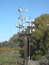 136843: Castlemaine Signals at North end of platforms