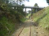 137626: Kongwak Bridge km 104.5 South Gippsland Railway looking towards Leongatha