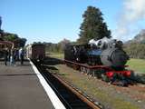 137685: Drysdale T 251 running round to form 12 00 noon Passenger to Queenscliff