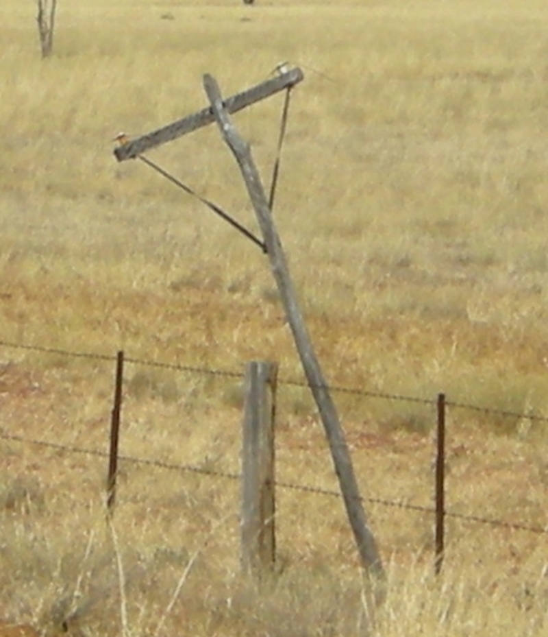 201508: Winton Line Communications' pole
