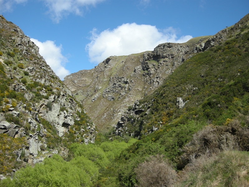 201543: Taieri Gorge New Zealand viewed from Deep Stream Bridge