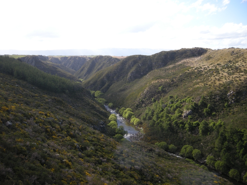 201546: Taieri Gorge New Zealand Viewed North from km 41 5 Taieri Gorge Railway