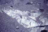 400046: Franz Josef Glacier
