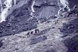 400051: Franz Josef Glacier Railway Enthusiasts' Society Group negotiating torrent