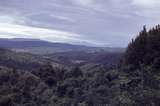 400067: Mount Ruapehu viewed in distance from point near Waimiha
