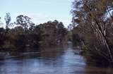 400405: Murchison Victoria Goulburn River in flood viewed from train on railway bridge