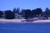 400531: Phillip Island Victoria Beach near Cowes