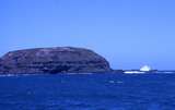 400532: Phillip Island Victoria The Nobbies