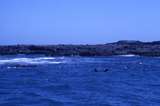 400542: Phillip Island Seal Rocks