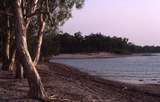 400935: Weipa Qld Gulf of Carpentaria beach near Albatross Motel