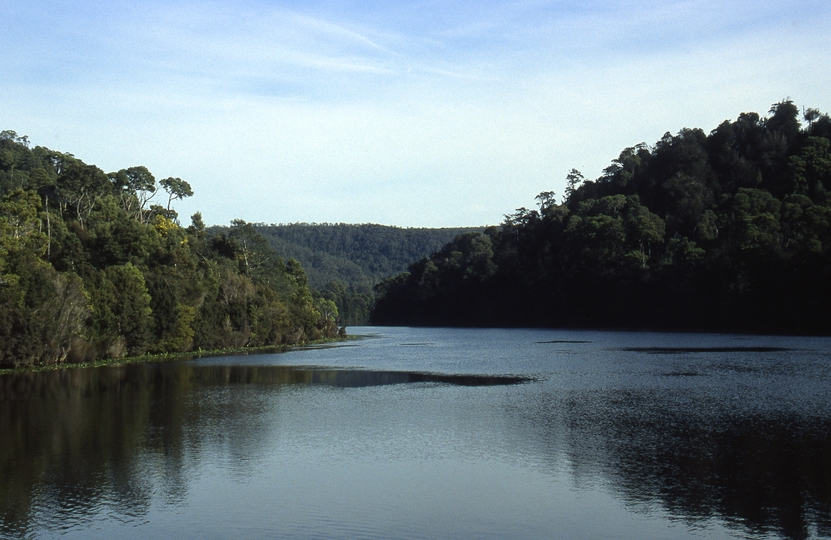 401022: Pieman River Tasmania looking downstream from Corinna punt