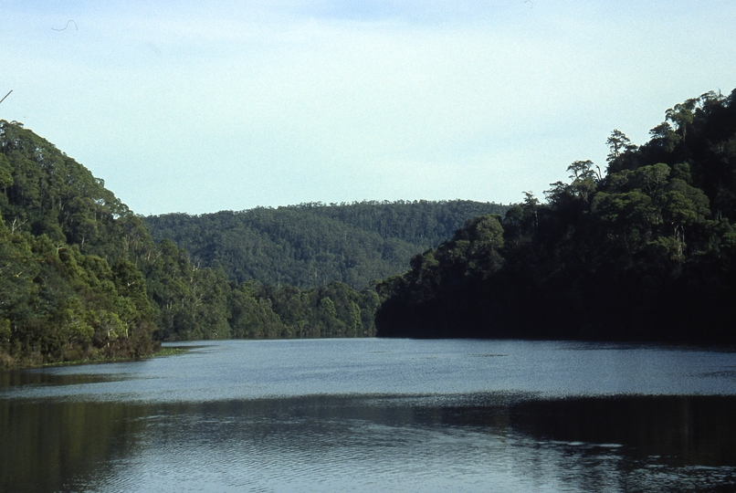 401025: Pieman River Tasmania looking downstream from Corinna punt