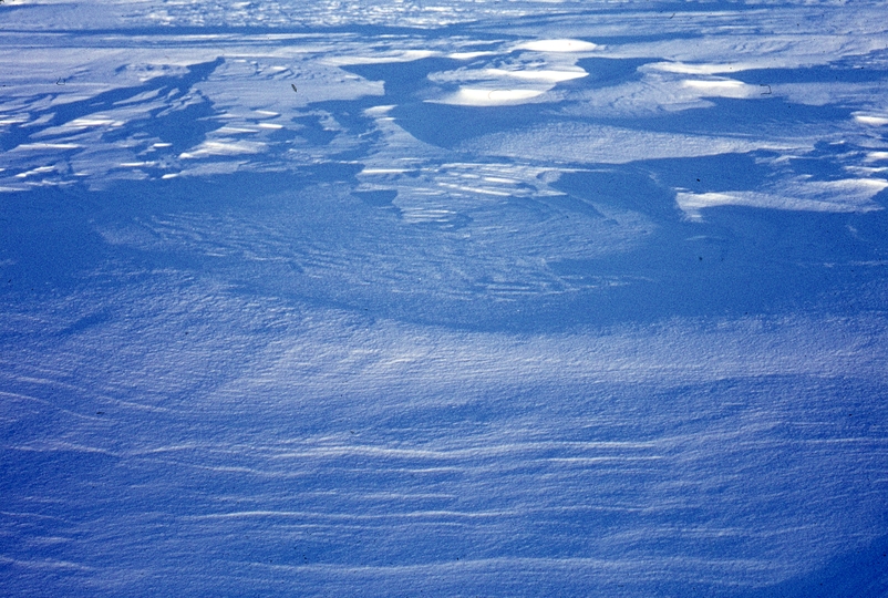 401252: Lansdowne Edmonton Windblown snow