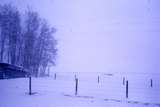 401277: Elk Valley Road near Natal BC Canada Snowstorm Photo Wendy Langford