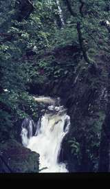 401376: Dolgoch Merionethshire Wales Dolgoch Falls