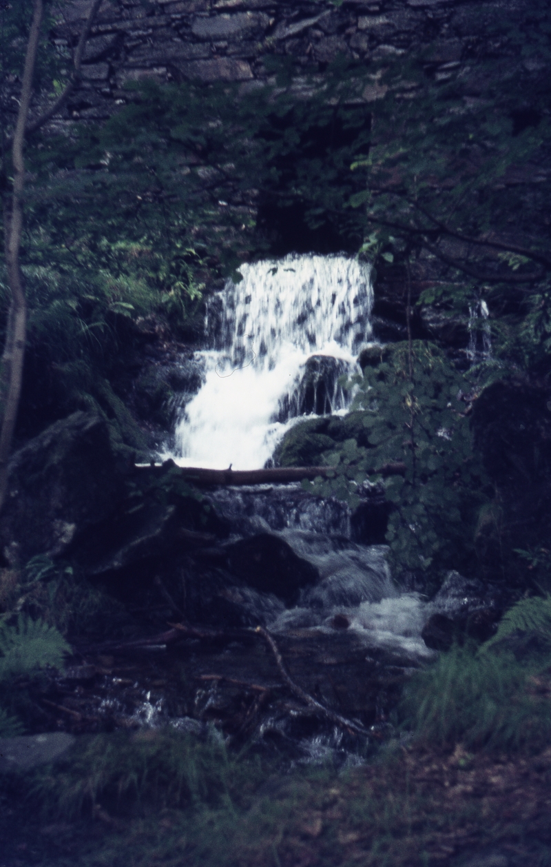 401384: near Tan Y Bwlch Merionethshire Wales Waterfall