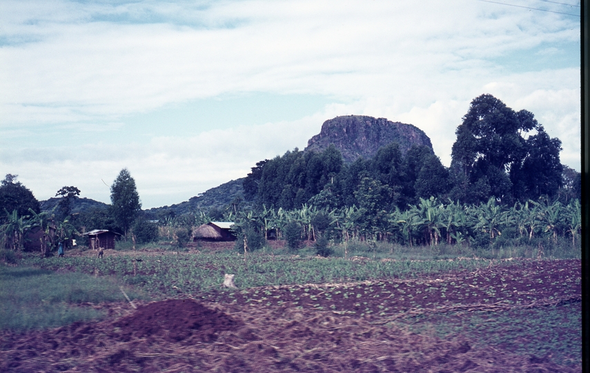 401461: near Tororo Uganda Mountain outcrop viewed from train