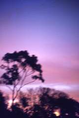 401714: Sunset at Maylands Western Australia Photo Wendy Langford