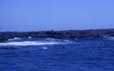 401820: Phillip Island Victoria Seal Rocks